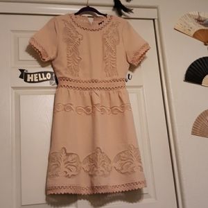 Women's Dress Size Large